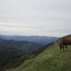 Von Pamplona nach Burgos 11.09.2011