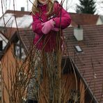 "Von Pferdchen Fotografie da will jemand hoch hinaus"