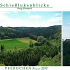 "Von Pferdchen - Fotografie im Lautertal- Burg Derneck 18"