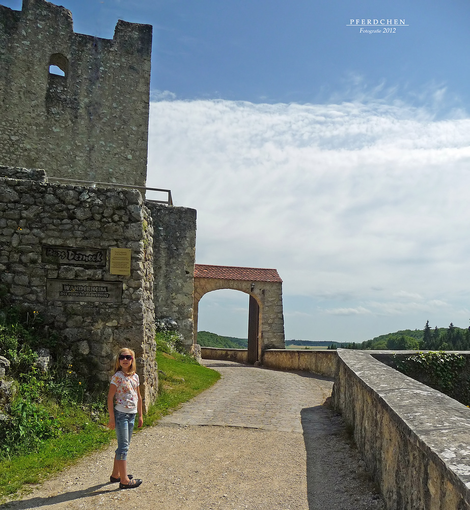 "Von Pferdchen - Fotografie im Lautertal- Burg Derneck 6"