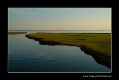 Von Prerow in den Bodden