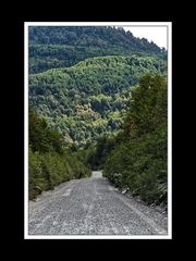 Von Puerto Montt über die Carretera Austral nach Coihaique 15