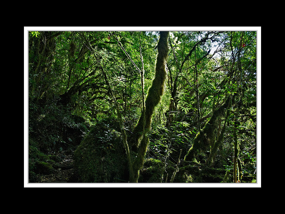 Von Puerto Montt über die Carretera Austral nach Coihaique 19