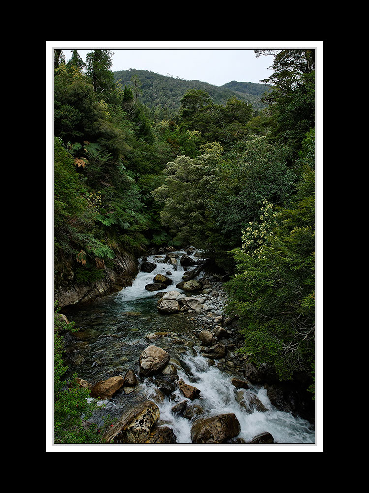 Von Puerto Montt über die Carretera Austral nach Coihaique 31