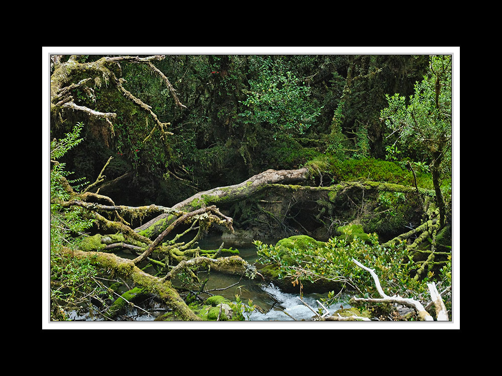 Von Puerto Montt über die Carretera Austral nach Coihaique 35