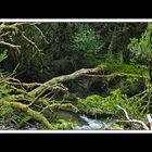 Von Puerto Montt über die Carretera Austral nach Coihaique 35