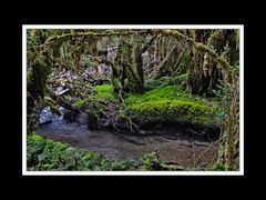 Von Puerto Montt über die Carretera Austral nach Coihaique 36