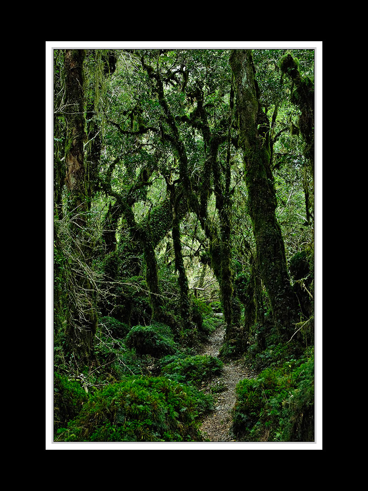 Von Puerto Montt über die Carretera Austral nach Coihaique 37