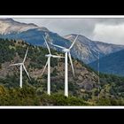 Von Puerto Montt über die Carretera Austral nach Coihaique 46