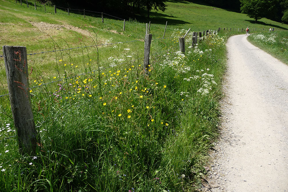 Von Rurberg nach Einruhr