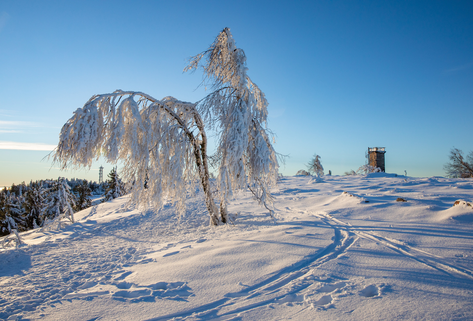 Von Schnee und Eis gebeugt