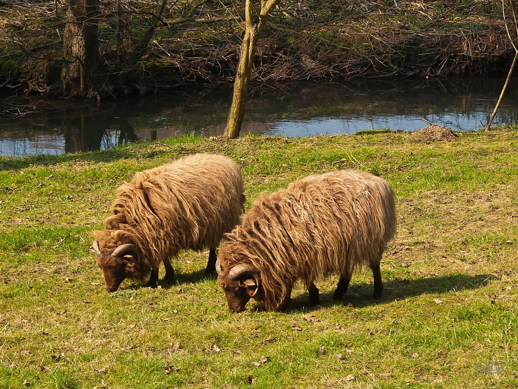 von Schöller bis Gruiten (11)