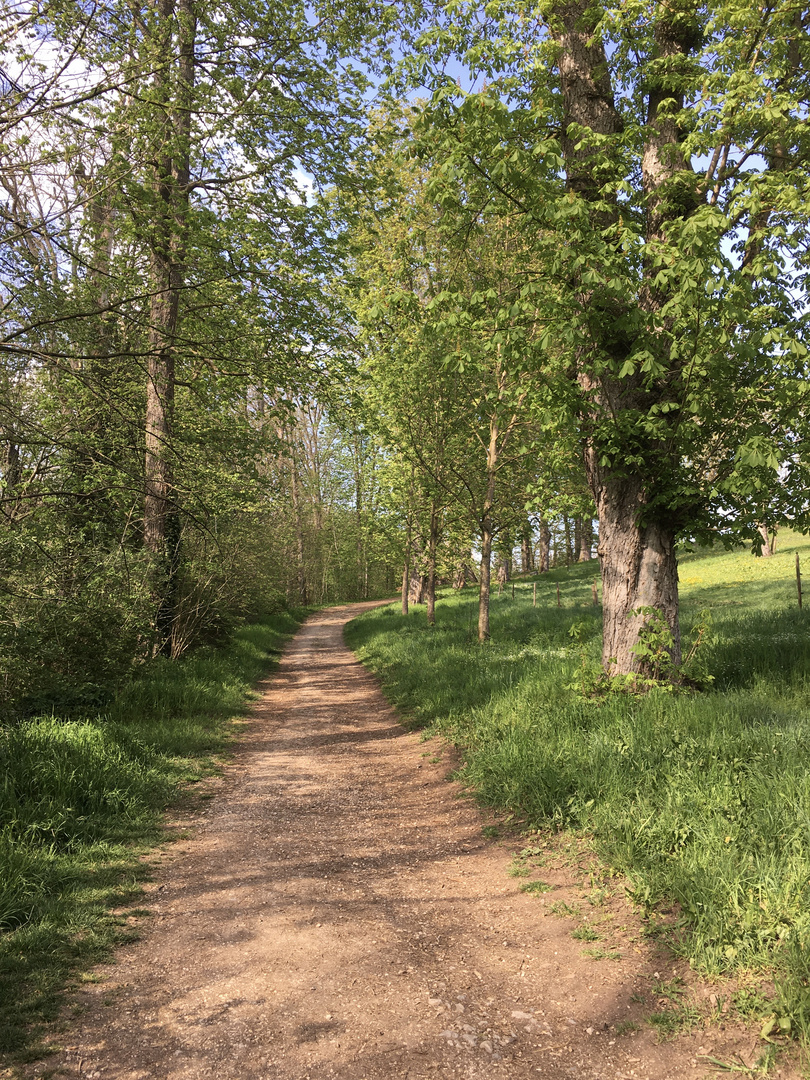 von schönen Frühlings Wegen 