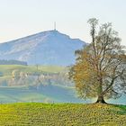 Von Schönenberg ZH Richtung Rigi geblickt