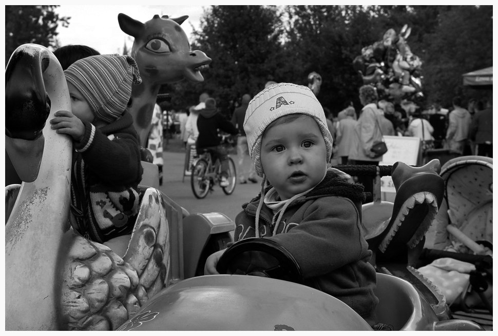 Von Schwänen und Giraffen bis Krokodile über Luftballons