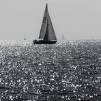 von Segelbooten auf dem Bodensee und dem Glitzern des Wasser s