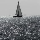 von Segelbooten auf dem Bodensee und dem Glitzern des Wasser s