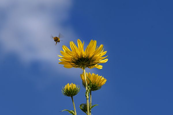 Von seiner schönsten Seite