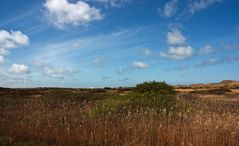 Von Skagen nach Frederikshavn - 5