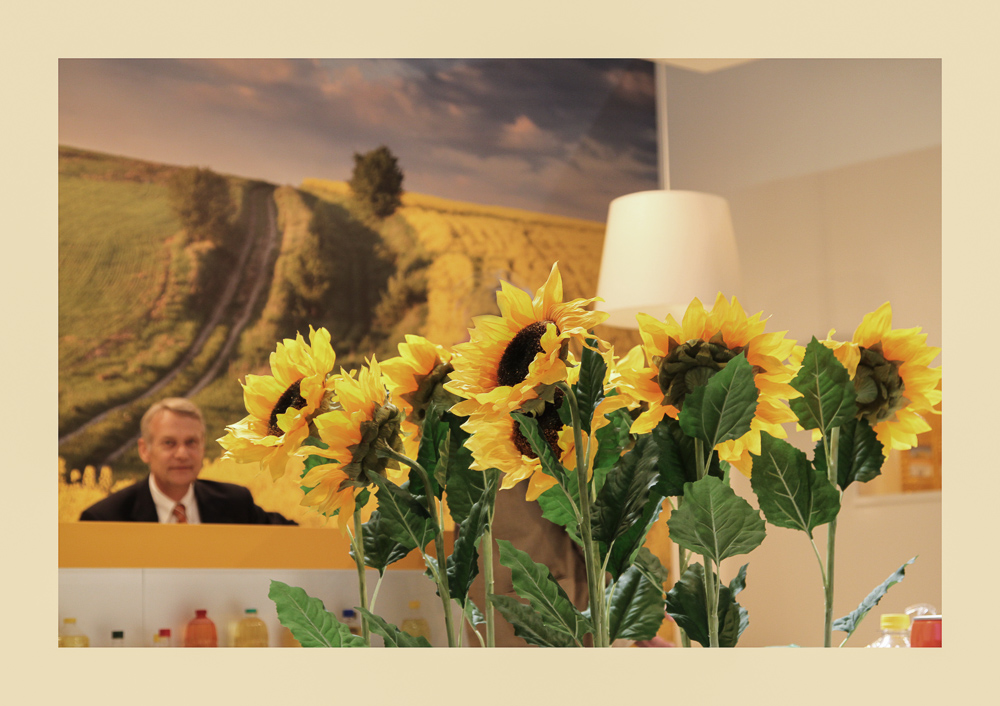 Von Sonnenblumen ...