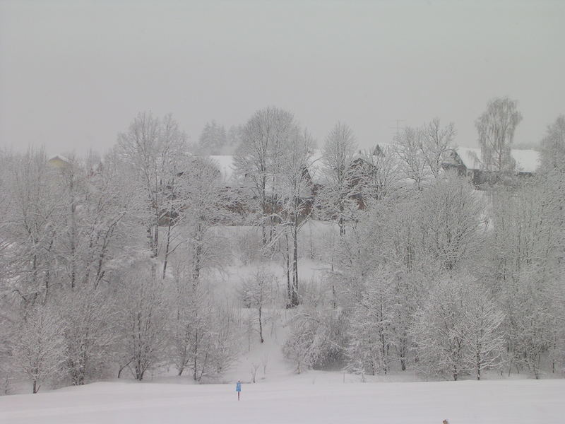 Von soviel Schnee konnte man diesen Winter nur träumen ;-(