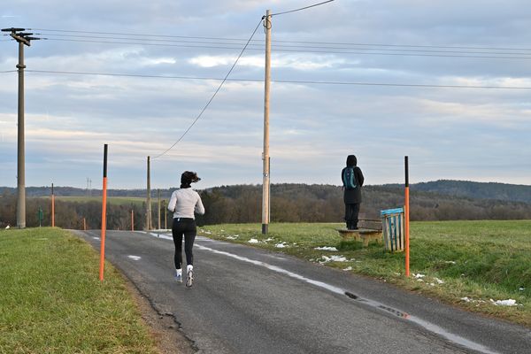 Von Stangen und Menschen