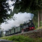 Von Steinbach nach Jöhstadt - mit Dampf