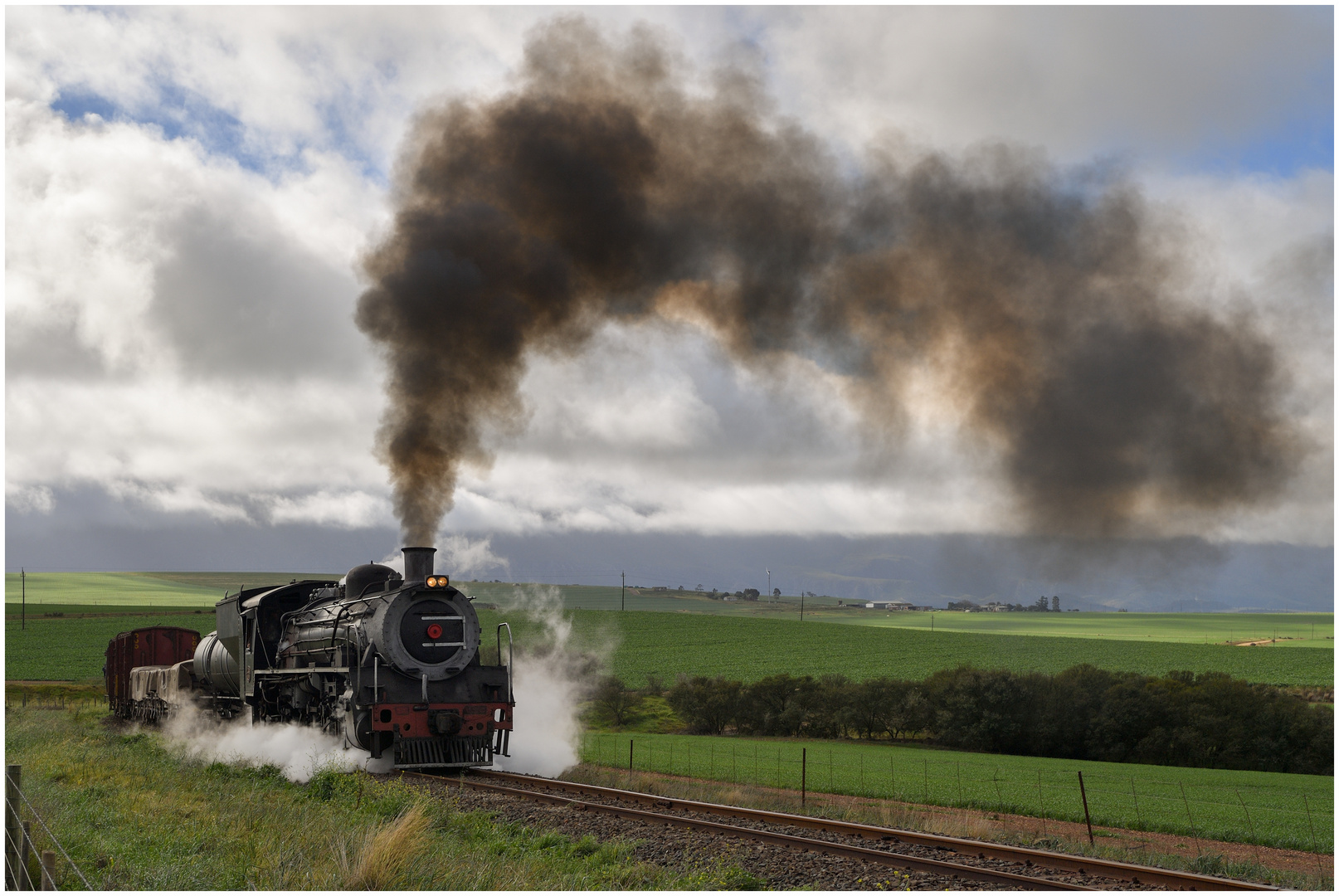 Von Swellendam zurück nach Westen II