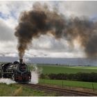 Von Swellendam zurück nach Westen II