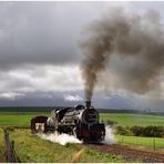 Von Swellendam zurück nach Westen III