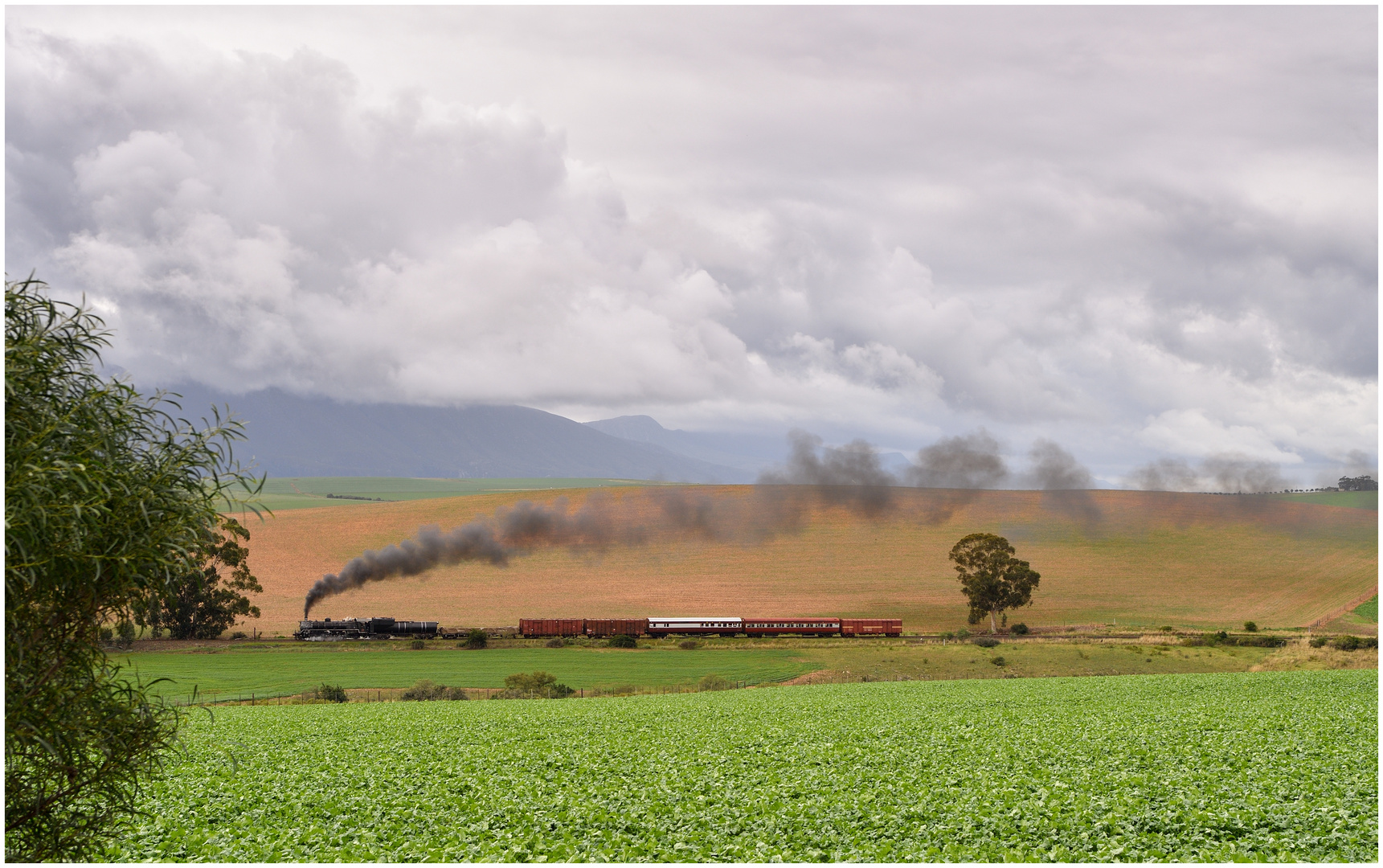 Von Swellendam zurück nach Westen IV