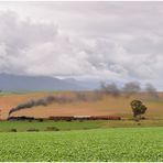 Von Swellendam zurück nach Westen IV