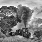 Von Swellendam zurück nach Westen V