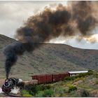 Von Swellendam zurück nach Westen VI