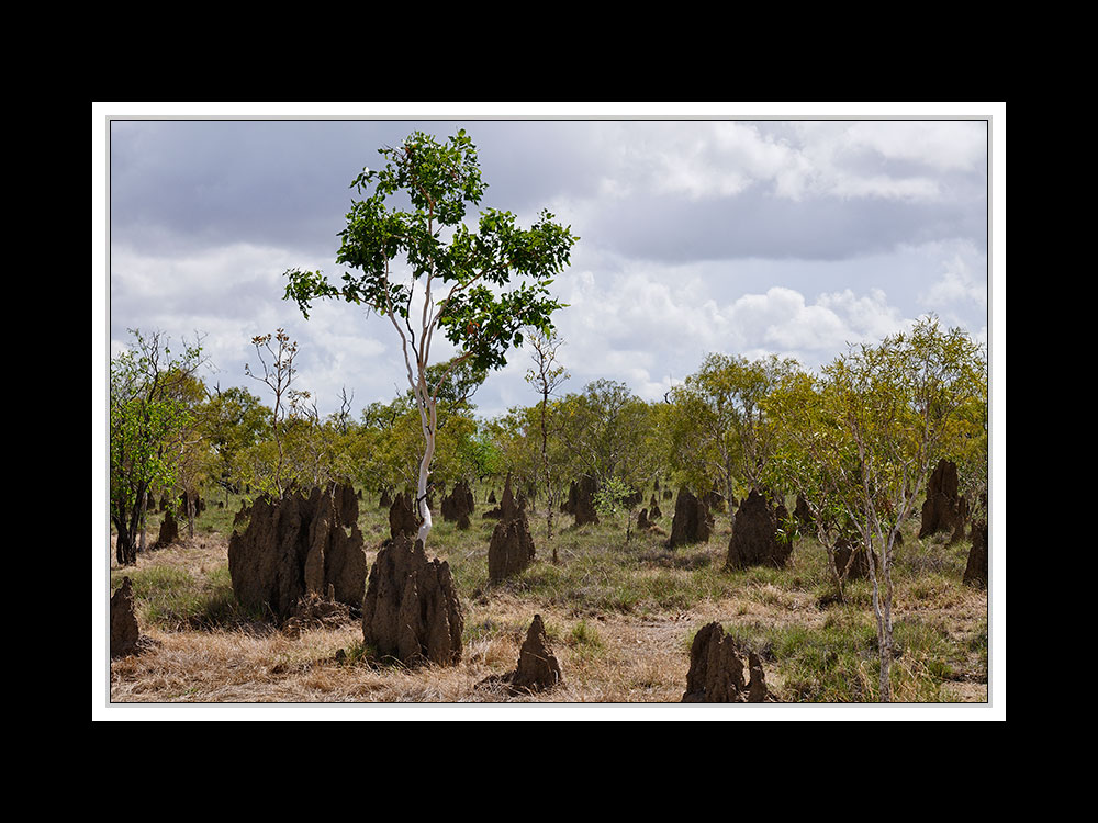 Von Tennant Creek nach Cairns 09