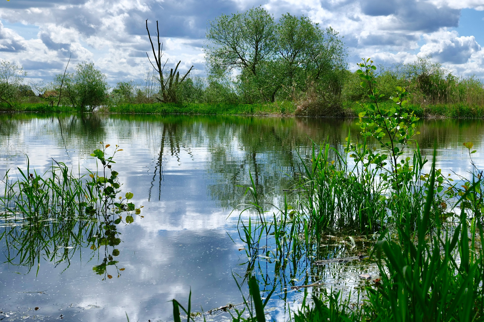 Von Tesperhude nach Lauenburg