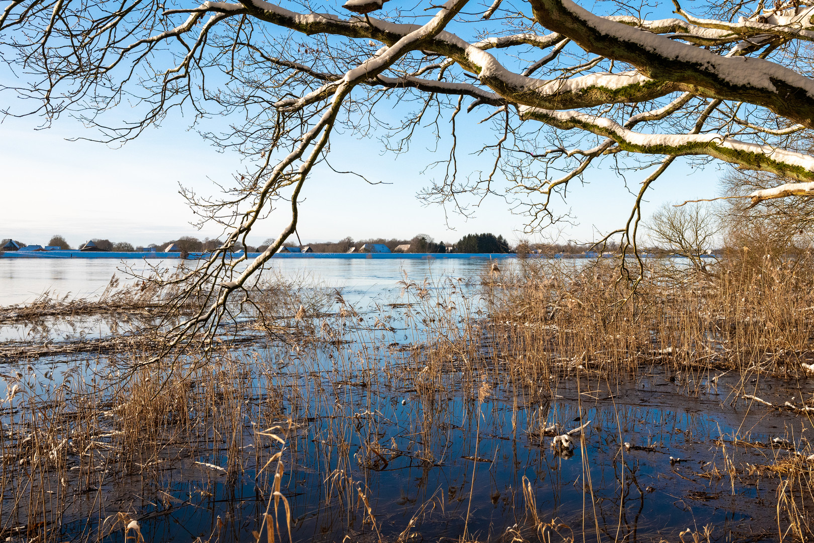 Von Tesperhude nach Lauenburg / Elbehochwasser