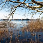 Von Tesperhude nach Lauenburg / Elbehochwasser