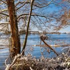 Von Tesperhude nach Lauenburg / Elbehochwasser