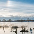 Von Tesperhude nach Lauenburg / Elbehochwasser