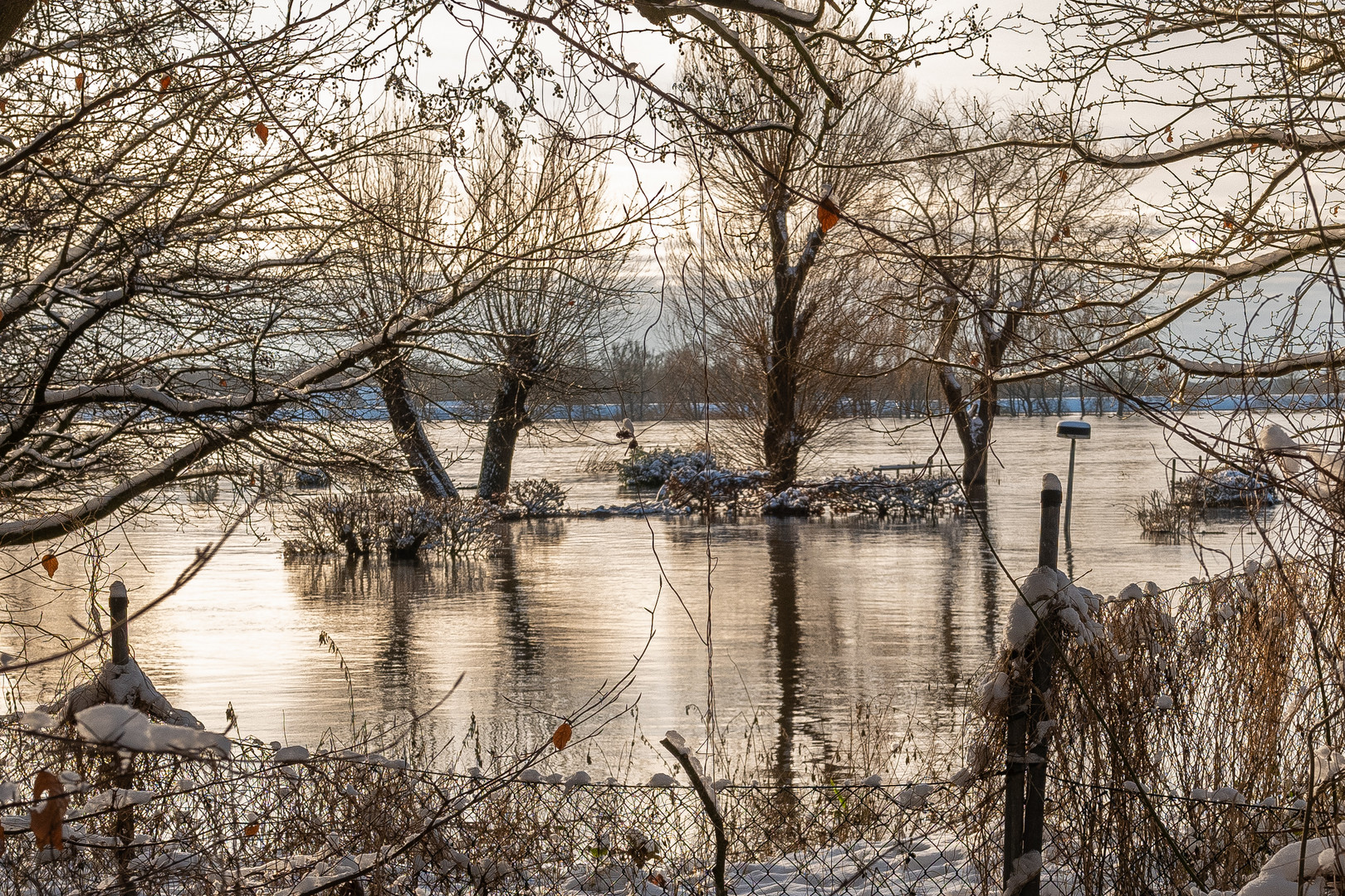 Von Tesperhude nach Lauenburg / Elbehochwasser