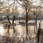 Von Tesperhude nach Lauenburg / Elbehochwasser