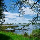 Von Tesperhude-Strand n. Lauenburg