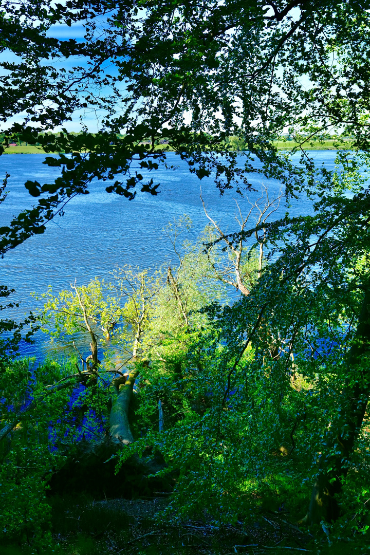 Von Tesperhude-Strand n. Lauenburg