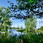 Von Tesperhude-Strand n. Lauenburg