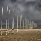 von Texel nach Vlieland ....