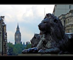 Von Trafalgar Square bis Westminster