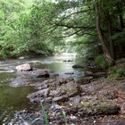 von Treseburg-Thale im Bodetal, NSG