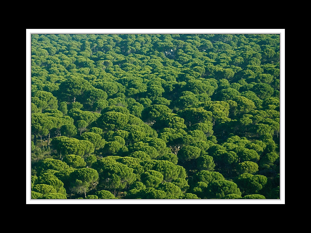 Von Troja nach Izmir 005