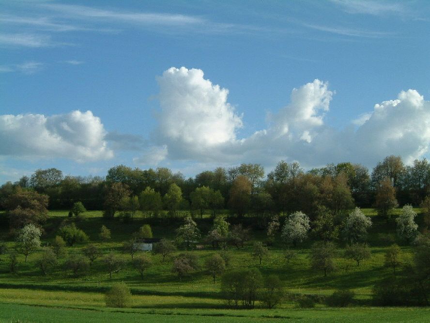 von Tuttlingen nach Trossingen